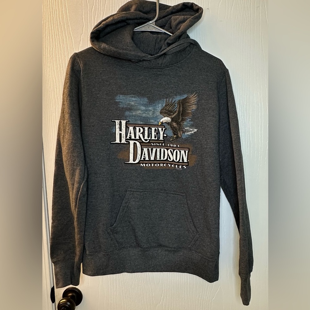 Harleyโ Davidson Cherokee NC gray long sleeve pullover hoodie womenโs small
